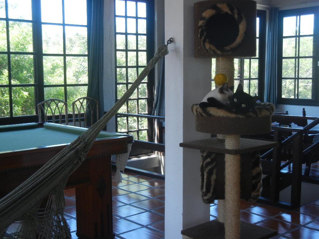 The Cats' House Hotell Florianópolis Exteriör bild