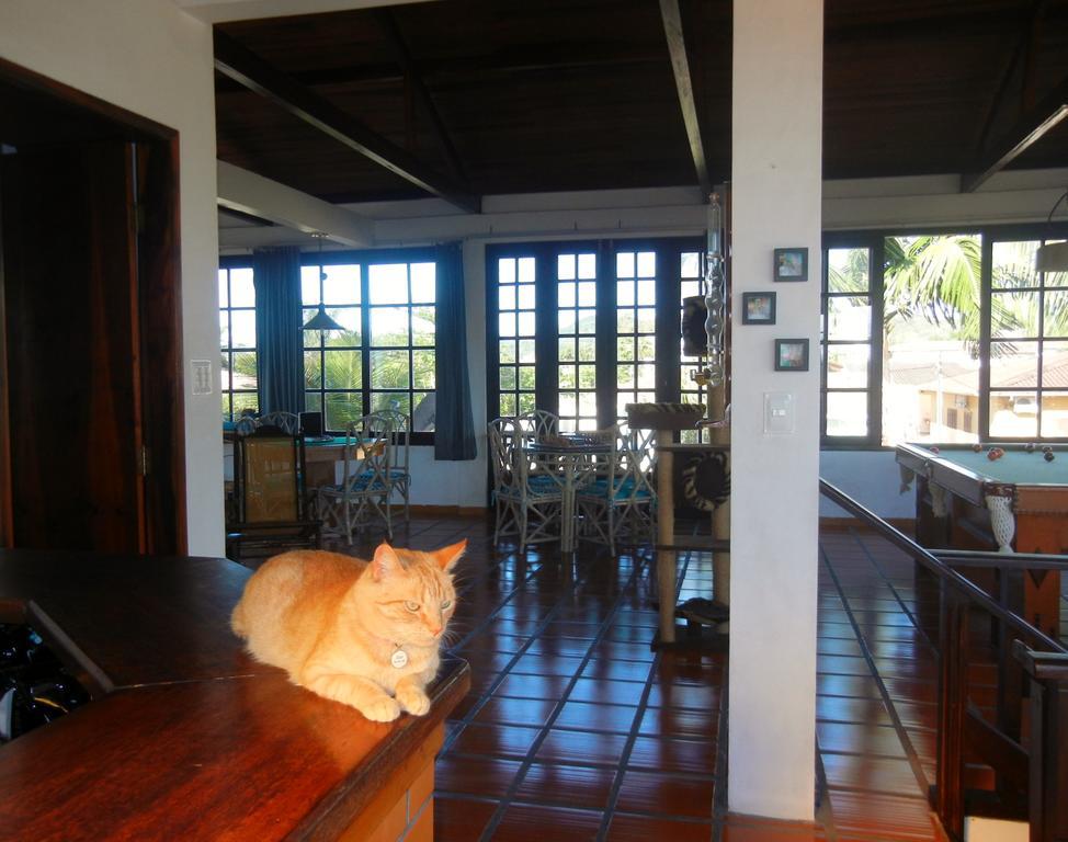 The Cats' House Hotell Florianópolis Exteriör bild