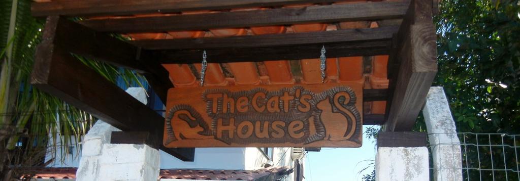 The Cats' House Hotell Florianópolis Exteriör bild