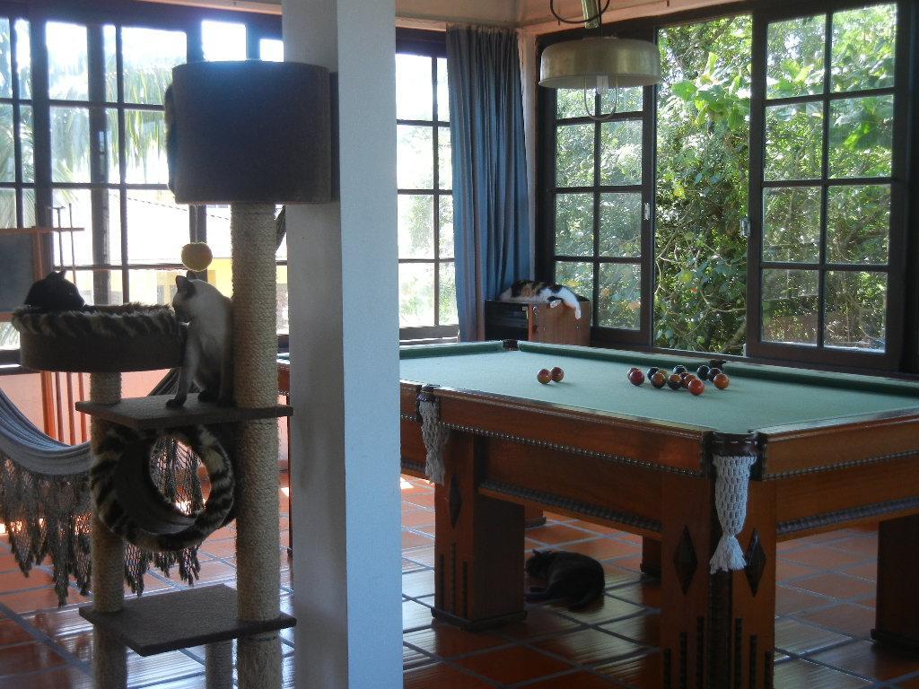 The Cats' House Hotell Florianópolis Exteriör bild