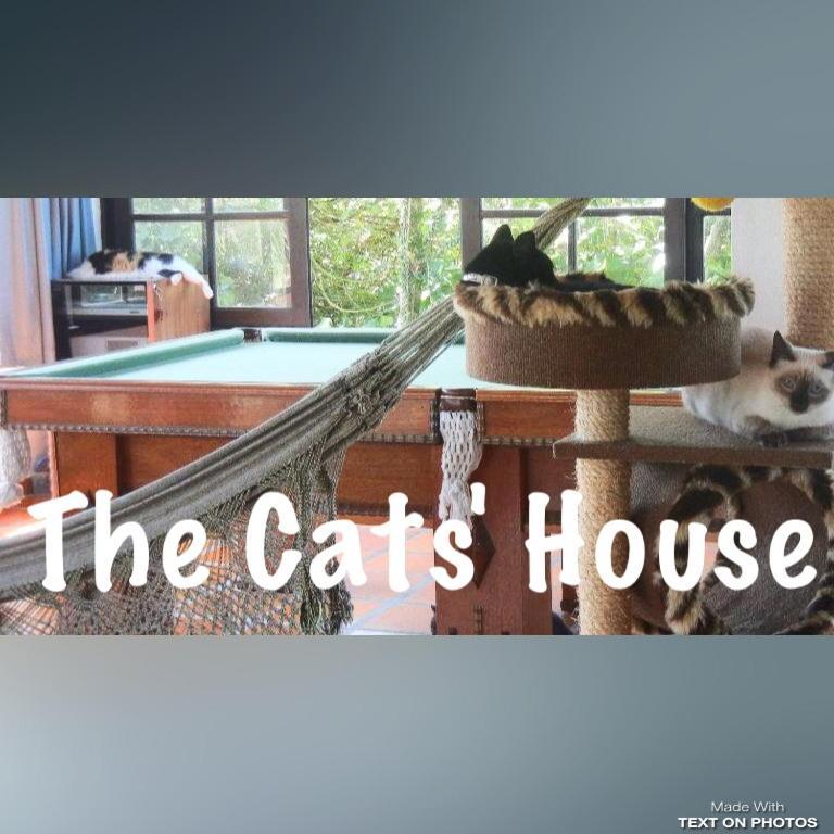 The Cats' House Hotell Florianópolis Exteriör bild