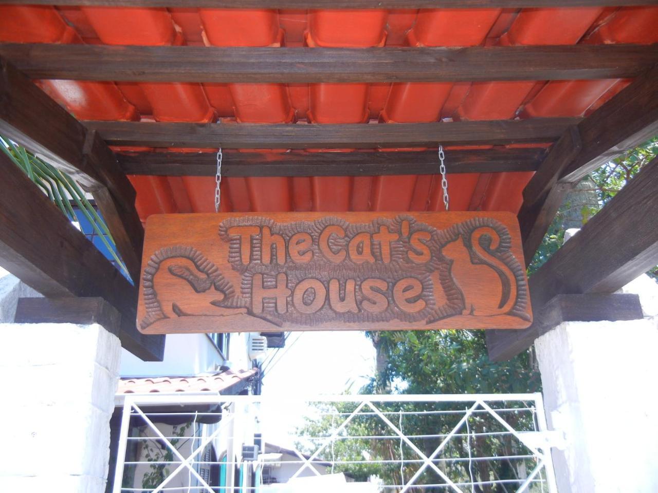 The Cats' House Hotell Florianópolis Exteriör bild