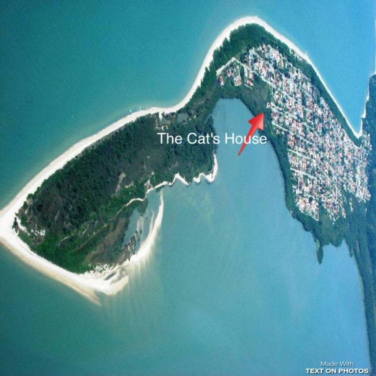 The Cats' House Hotell Florianópolis Exteriör bild